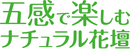 五感で楽しむナチュラル花壇