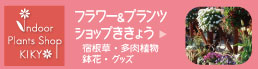 ［フラワー＆プランツショップききょう（宿根草・多肉植物・鉢花・グッズ］はこちら