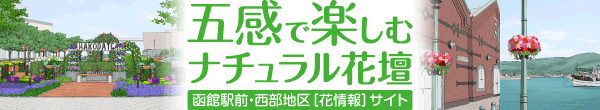 五感で楽しむナチュラル花壇 函館駅前・西部地区［花情報］サイト