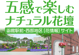 五感で楽しむナチュラル花壇 函館駅前・西部地区［花情報］サイト