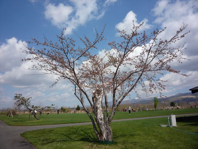 P1000920_R.JPG