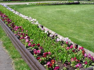 P1010280_R.JPG