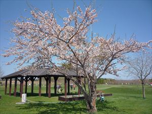 P1010644_R.JPG